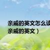 亲戚的英文怎么读的（亲戚的英文）