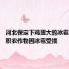 河北保定下鸡蛋大的冰雹：大面积农作物因冰雹受损