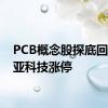 PCB概念股探底回升 骏亚科技涨停