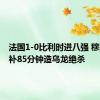 法国1-0比利时进八强 穆阿尼替补85分钟造乌龙绝杀