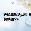 养殖业板块回调 东瑞股份跌超5%