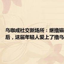 鸟咖成社交新场所:继撸猫撸狗之后,这届年轻人爱上了撸鸟