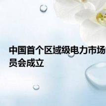中国首个区域级电力市场管理委员会成立