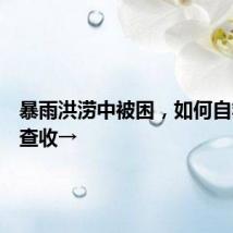 暴雨洪涝中被困，如何自救？请查收→