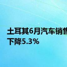 土耳其6月汽车销售同比下降5.3%