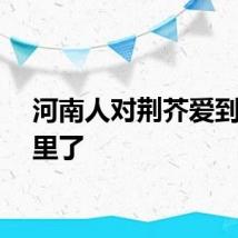 河南人对荆芥爱到骨子里了