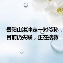 岳阳山洪冲走一对爷孙,当地:目前仍失联,正在搜救