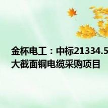 金杯电工:中标21334.50万元大截面铜电缆采购项目