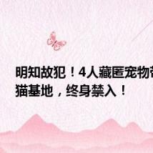 明知故犯!4人藏匿宠物带入熊猫基地,终身禁入!