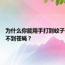 为什么你能用手打到蚊子，却打不到苍蝇？