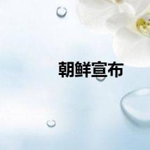 朝鲜宣布