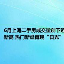 6月上海二手房成交量创下近三年来新高 热门新盘再现“日光”