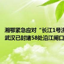 湘鄂紧急应对“长江1号洪水”,武汉已封堵58处沿江闸口