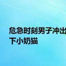 危急时刻男子冲出车救下小奶猫