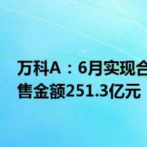 万科A:6月实现合同销售金额251.3亿元