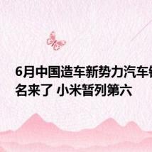 6月中国造车新势力汽车销量排名来了 小米暂列第六