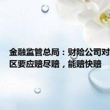 金融监管总局:财险公司对受灾地区要应赔尽赔,能赔快赔