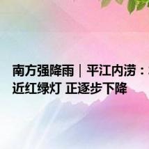 南方强降雨|平江内涝:水位逼近红绿灯 正逐步下降