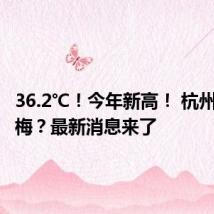 36.2℃!今年新高! 杭州何时出梅?最新消息来了