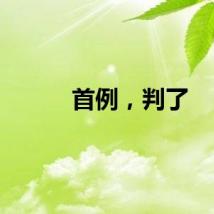 首例，判了