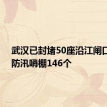 武汉已封堵50座沿江闸口 搭设防汛哨棚146个