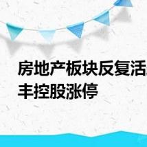 房地产板块反复活跃 荣丰控股涨停
