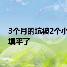 3个月的坑被2个小孩给填平了