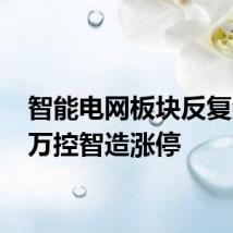 智能电网板块反复活跃 万控智造涨停