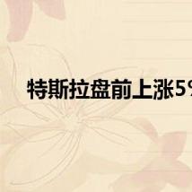 特斯拉盘前上涨5%