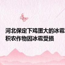 河北保定下鸡蛋大的冰雹:大面积农作物因冰雹受损