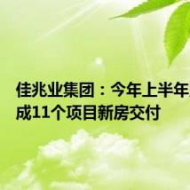 佳兆业集团:今年上半年累计完成11个项目新房交付