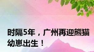 时隔5年，广州再迎熊猫幼崽出生！
