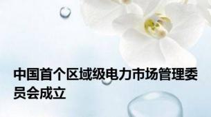 中国首个区域级电力市场管理委员会成立
