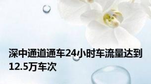 深中通道通车24小时车流量达到12.5万车次