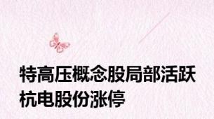 特高压概念股局部活跃 杭电股份涨停