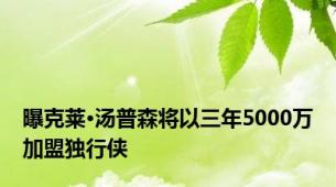 曝克莱·汤普森将以三年5000万加盟独行侠