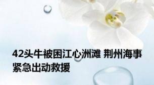 42头牛被困江心洲滩 荆州海事紧急出动救援
