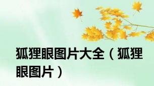狐狸眼图片大全（狐狸眼图片）