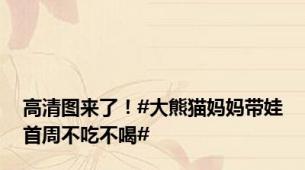高清图来了！#大熊猫妈妈带娃首周不吃不喝#