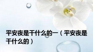 平安夜是干什么的一（平安夜是干什么的）
