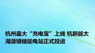 杭州最大“充电宝”上线 杭新能太湖源镇储能电站正式投运