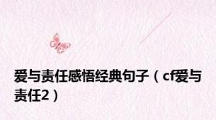 爱与责任感悟经典句子（cf爱与责任2）