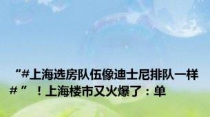 “#上海选房队伍像迪士尼排队一样# ”！上海楼市又火爆了：单