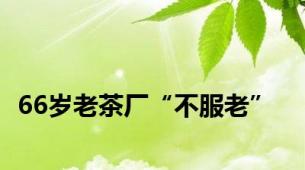 66岁老茶厂“不服老”