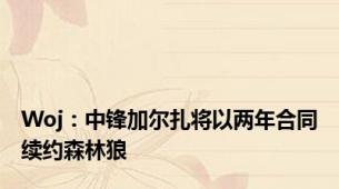 Woj：中锋加尔扎将以两年合同续约森林狼