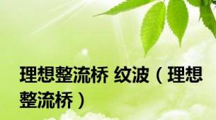 理想整流桥 纹波（理想整流桥）