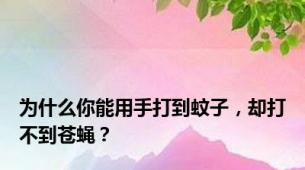 为什么你能用手打到蚊子，却打不到苍蝇？