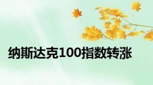 纳斯达克100指数转涨