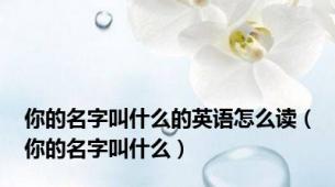 你的名字叫什么的英语怎么读（你的名字叫什么）