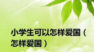 小学生可以怎样爱国（怎样爱国）